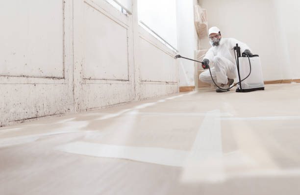 Post-remediation clearance in Buffalo Grove